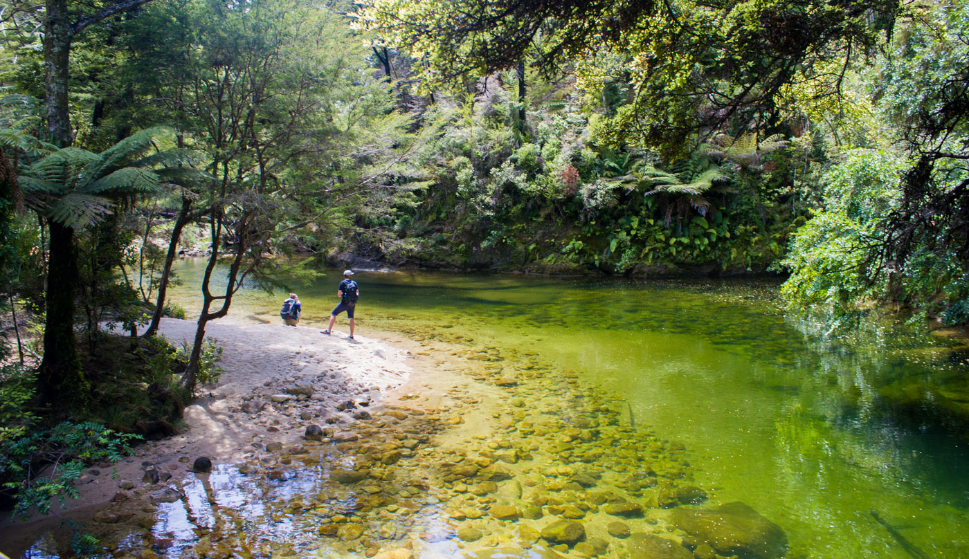 hking in new zealand