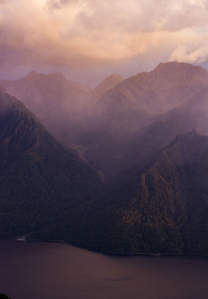 maori standeeld