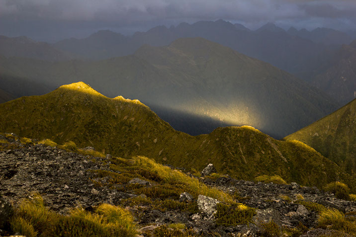 light