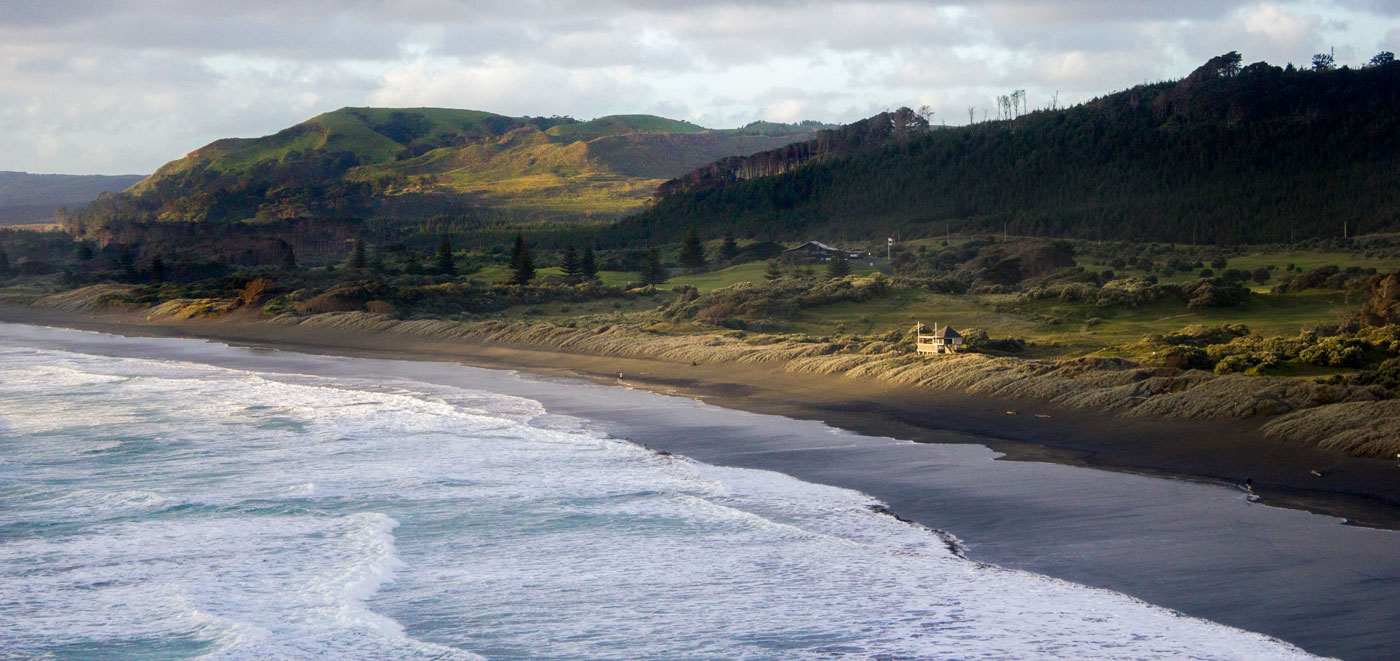 muriwai beach