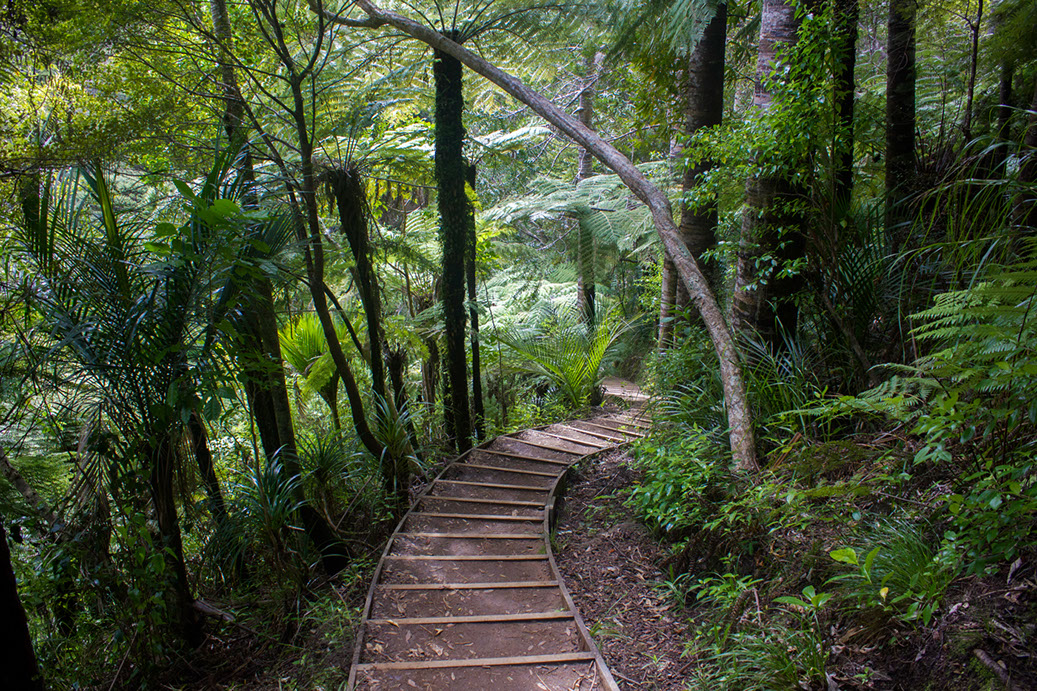 waiakere rangers park